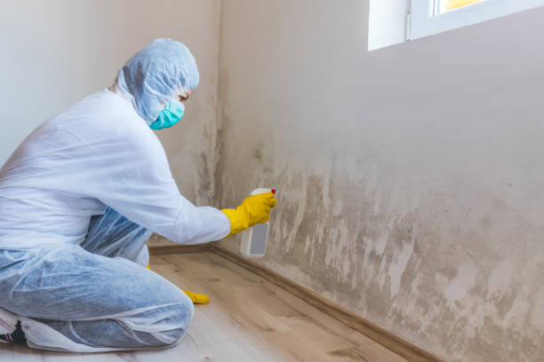 Licensed Commercial Mold Remediation service in Lakeland, FL - WQB Mold Removal