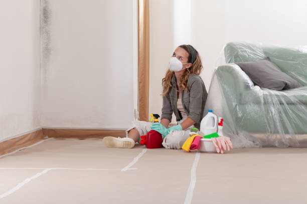 Reliable Commercial Mold Remediation contractor in Lakeland, FL by WQB Mold Removal